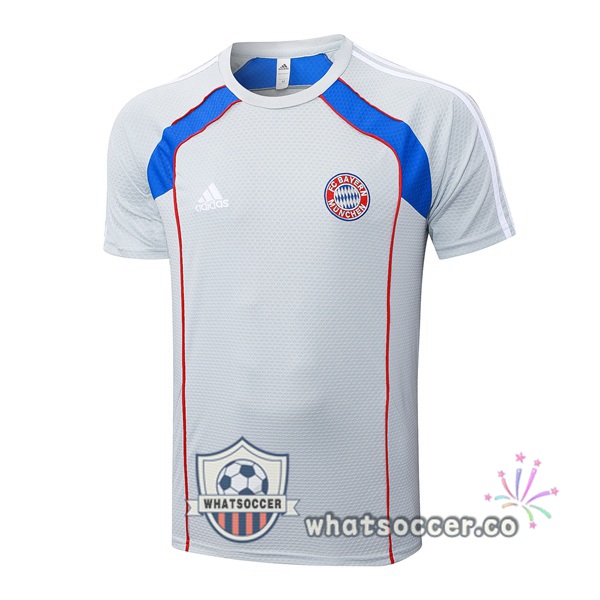 Bayern Munich Training T-Shirts Gray 2025-2026