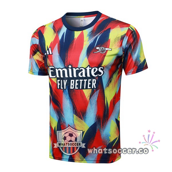 Arsenal Training T-Shirts Red Blue 2025-2026