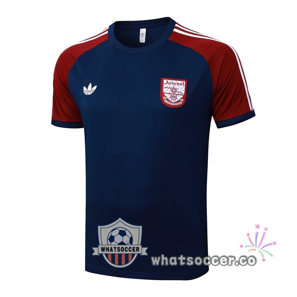 Arsenal Training T-Shirts Blue Royal 2025-2026