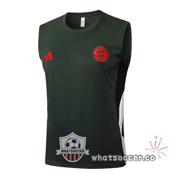 Bayern Munich Soccer Vest Green 2025-2026