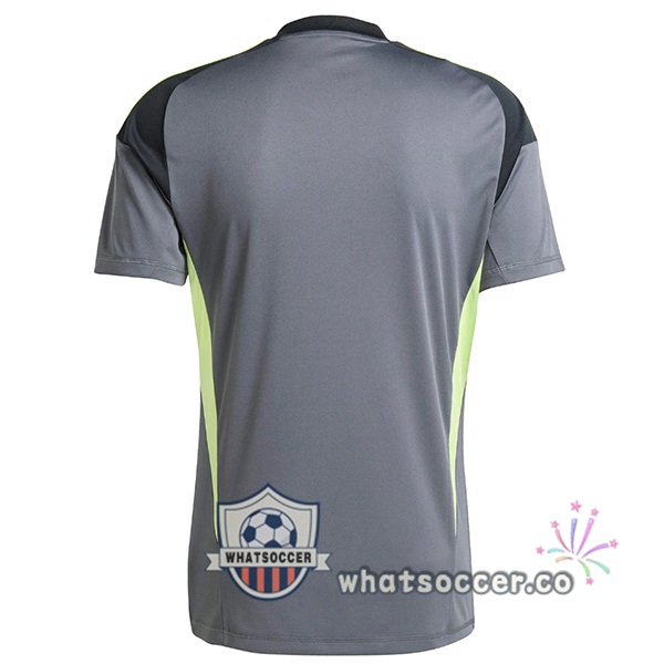 Juventus Goalkeeper Soccer Jerseys Gray 2025-2026