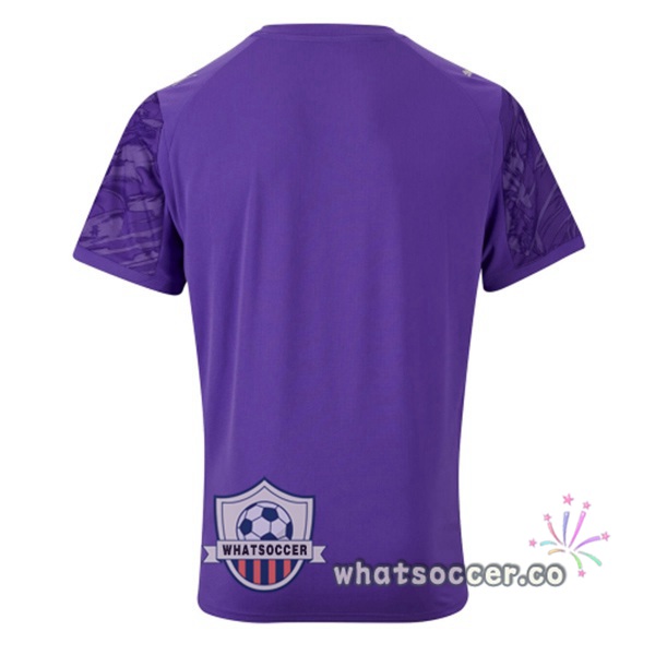 Olympique de Marseille Goalkeeper Soccer Jerseys Purple 2025-2026