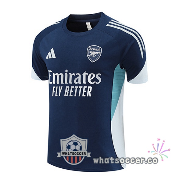 Arsenal Training T-Shirts Blue Royal 2025-2026