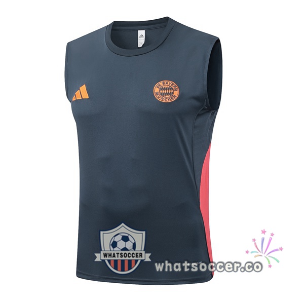 Bayern Munich Soccer Vest Gray 2025-2026