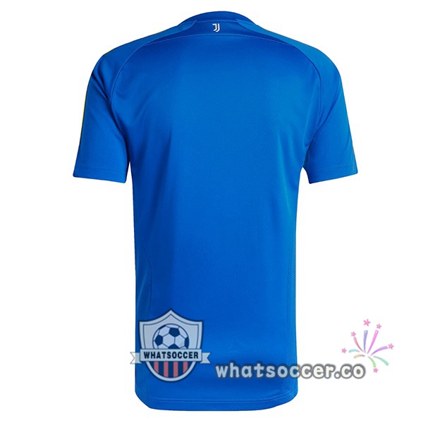 Juventus VIALLI Special Edition Soccer Jerseys Blue 2025-2026
