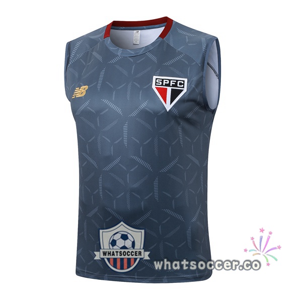 Sao Paulo FC Soccer Vest Gray 2025-2026