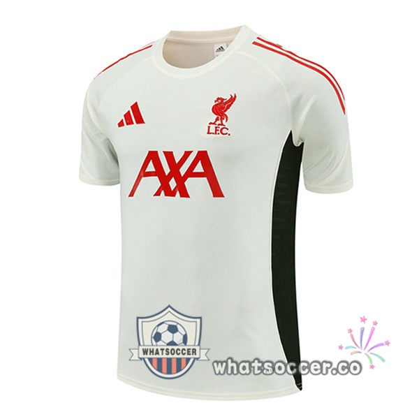 FC Liverpool Training T-Shirts White 2025-2026