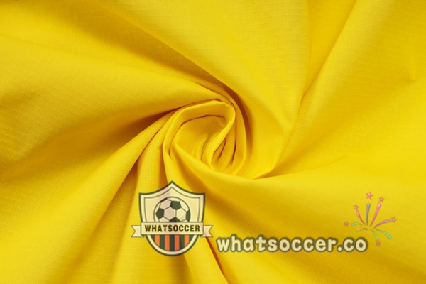 Tracksuit - Windbreaker Dortmund BVB Yellow 2025-2026