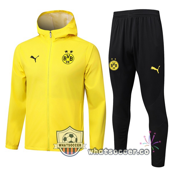 Tracksuit - Windbreaker Dortmund BVB Yellow 2025-2026