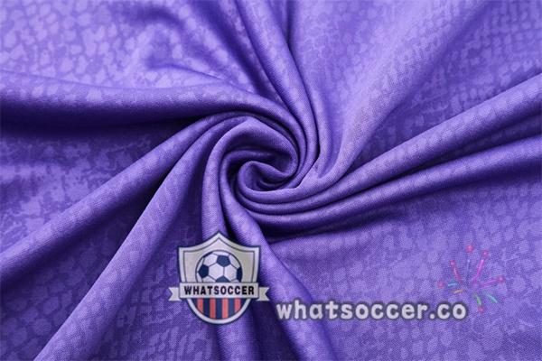 Training Wear FC Barcelona Purple 2025-2026