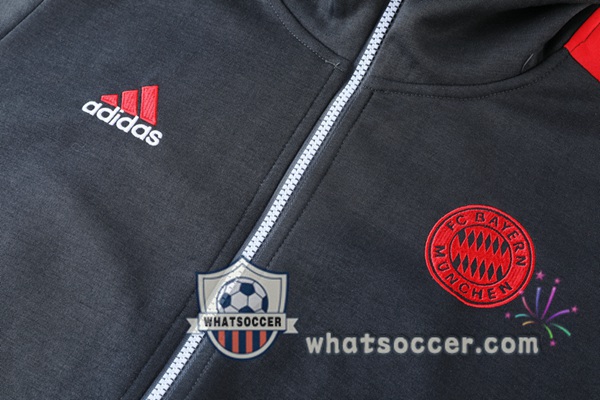 Bayern Munich Gray Hooded Jacket 2021-2022