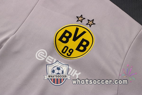 Dortmund BVB Gray Tracksuit 2021-2022
