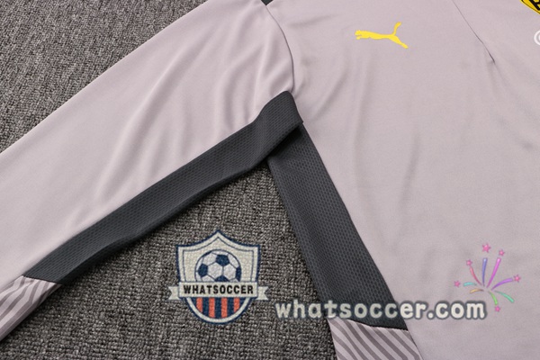 Dortmund BVB Gray Tracksuit 2021-2022