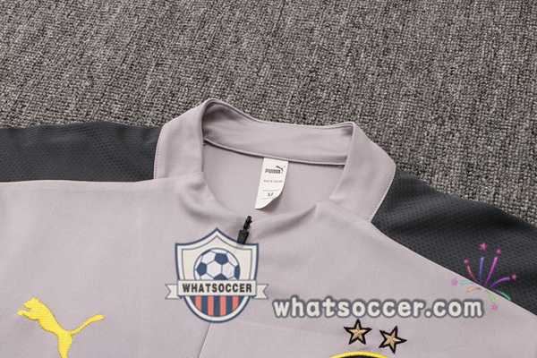 Dortmund BVB Gray Tracksuit 2021-2022