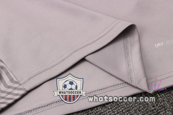 Dortmund BVB Gray Tracksuit 2021-2022