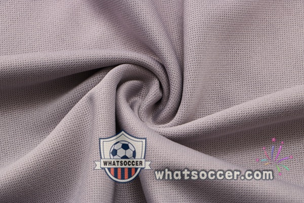 Dortmund BVB Gray Tracksuit 2021-2022