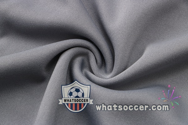 Dortmund BVB Gray Tracksuit 2021-2022