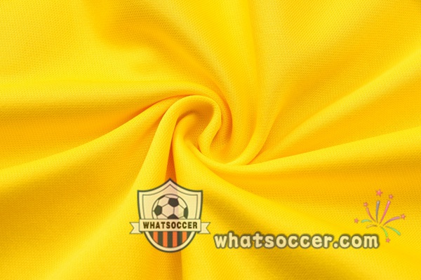 Dortmund BVB Yellow Hooded Jacket 2021-2022