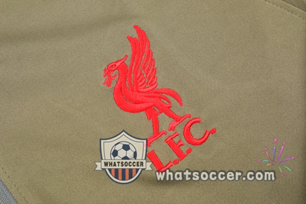 FC Liverpool Yellow Tracksuit 2021-2022