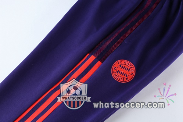 Bayern Munich PurpleTraining Jacket 2021-2022