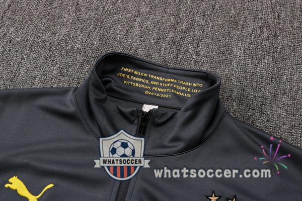 Dortmund BVB Gray Training Jacket 2021-2022