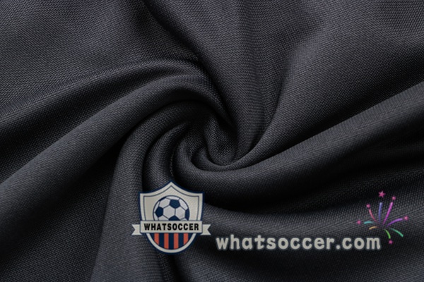 Dortmund BVB Gray Training Jacket 2021-2022