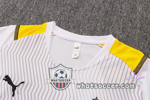 Dortmund BVB + Pants White Training T-Shirt Suit 2021-2022