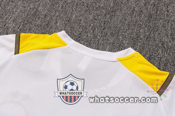 Dortmund BVB + Pants White Training T-Shirt Suit 2021-2022