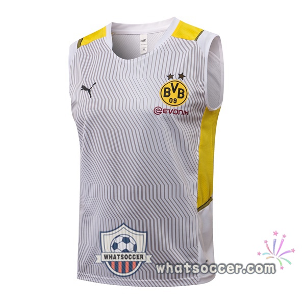 Dortmund BVB White Soccer Vest 2021-2022