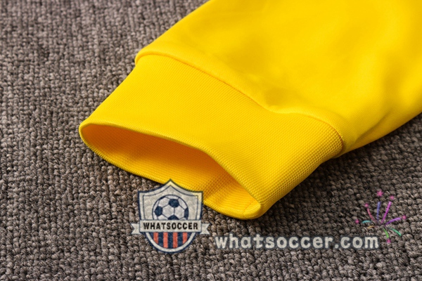 Dortmund BVB Yellow Windbreaker Hoodie 2020-2021