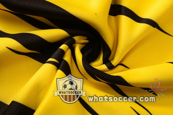 Dortmund BVB Yellow Windbreaker Hoodie 2020-2021