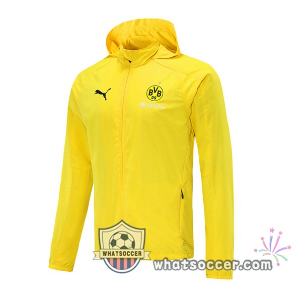Dortmund BVB Yellow Windbreaker 2020-2021