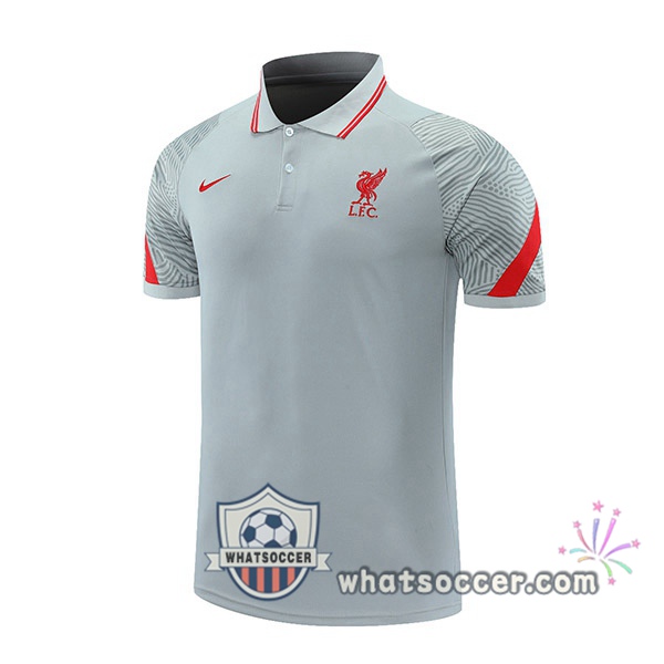 Training Polo FC Liverpool Gray 2021-2022