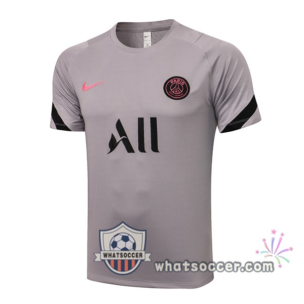 Paris PSG Gray Training T-Shirts 2021-2022