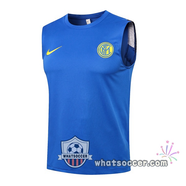 Inter Milan Blue Soccer Vest 2021-2022