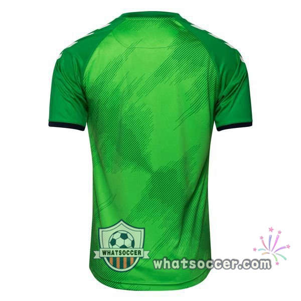 Denmark Goalkeeper Green Soccer Jerseys 2020-2021