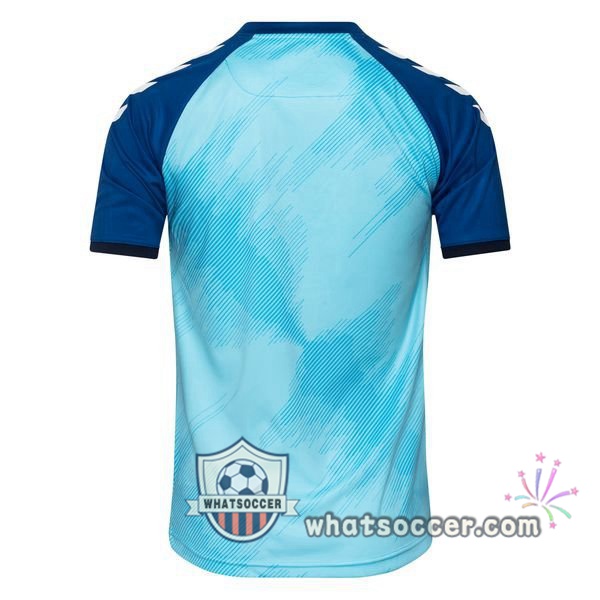Denmark Goalkeeper Blue Soccer Jerseys 2020-2021