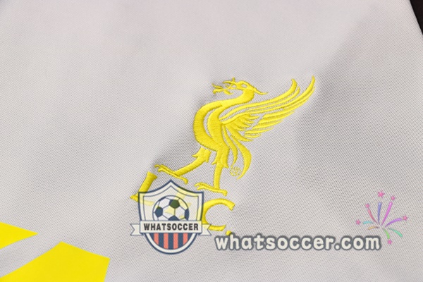 FC Liverpool + Pants Gray Black Training T-Shirt Suit 2021-2022