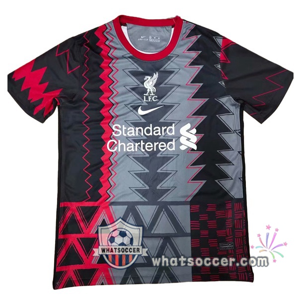 FC Liverpool Gray Black Training T-Shirts 2021-2022