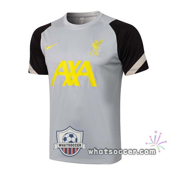 FC Liverpool Gray Black Training T-Shirts 2021-2022