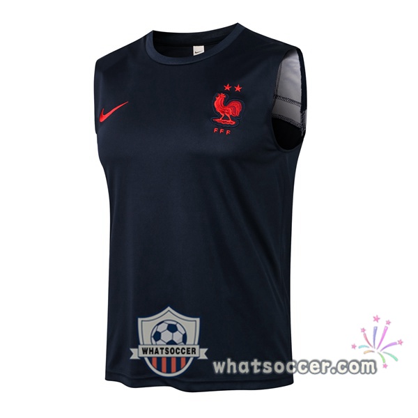 France Blue Royal Soccer Vest 2021-2022