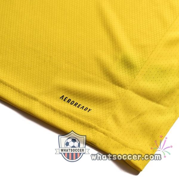 Sweden Home Soccer Jerseys 2020-2021