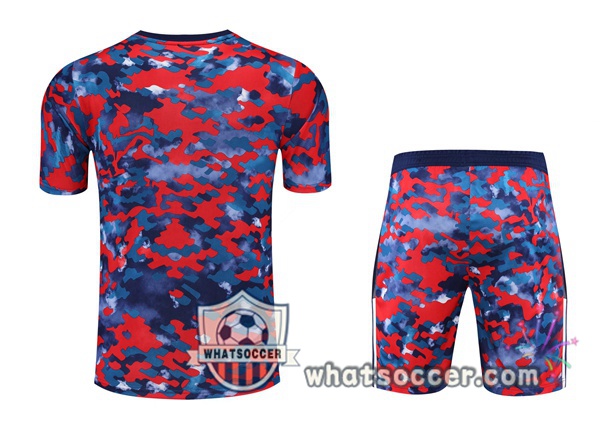 Bayern Munich + Shorts Red Blue Training T-Shirt Suit 2021-2022