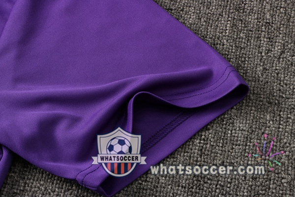 Paris PSG Jordan + Pants Purple Training T-Shirt Suit 2021-2022