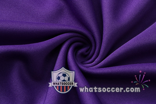 Paris PSG Jordan + Pants Purple Training T-Shirt Suit 2021-2022