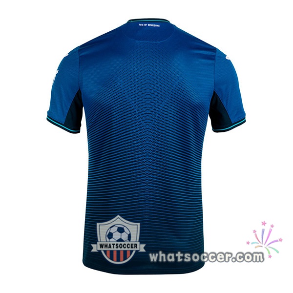 TSG Hoffenheim Home Soccer Jerseys 2021-2022