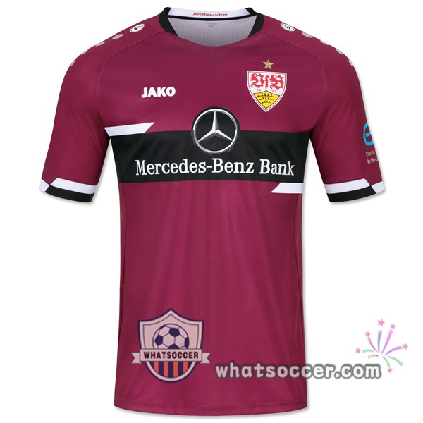 VfB Stuttgart Goalkeeper Soccer Jerseys Purple 2021-2022