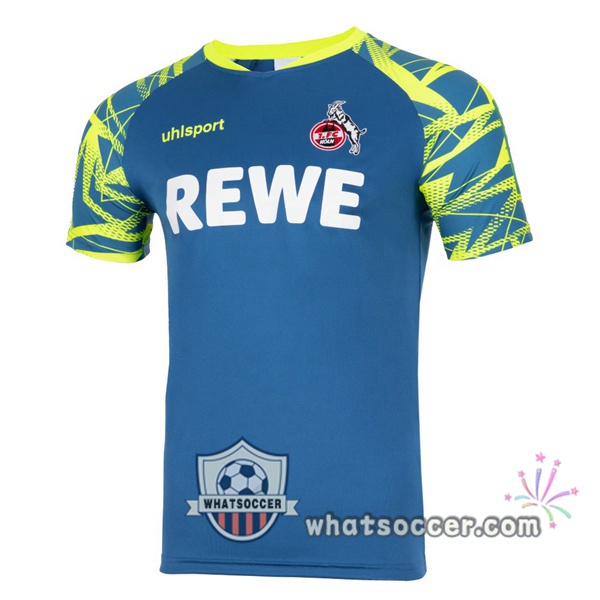 FC Koln Goalkeeper Soccer Jerseys Blue 2021-2022