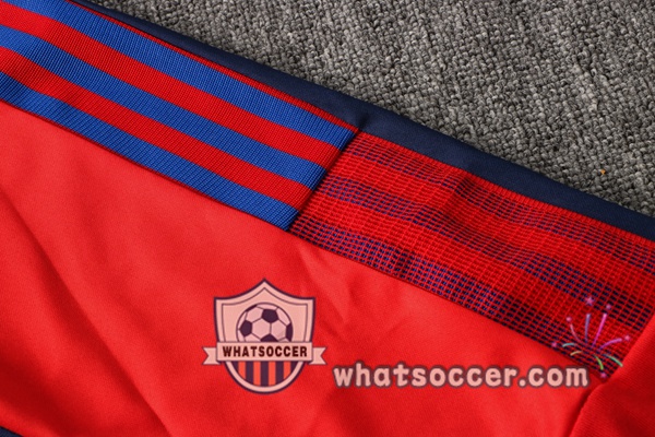 Bayern Munich Red Blue Tracksuit 2021-2022