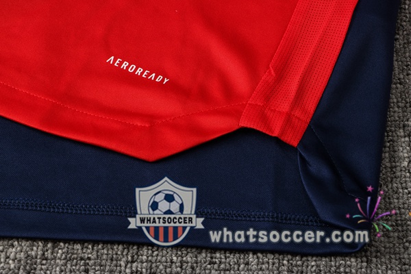 Bayern Munich Red Blue Tracksuit 2021-2022